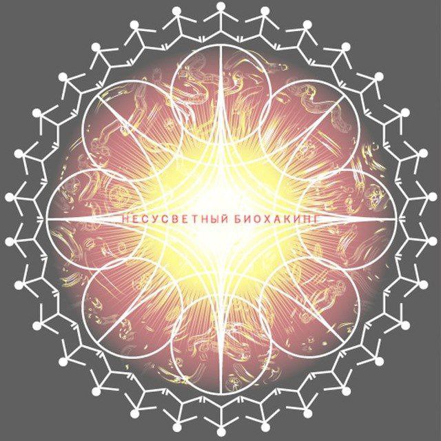 Несу Свет Лаборатория